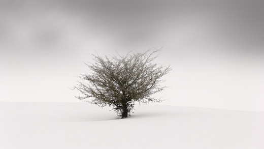992466 (a): :2048x1152